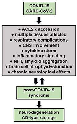 SARS-CoV-2 Neuroinvasion, Inflammatory Neurodegeneration and Alzheimer's Disease